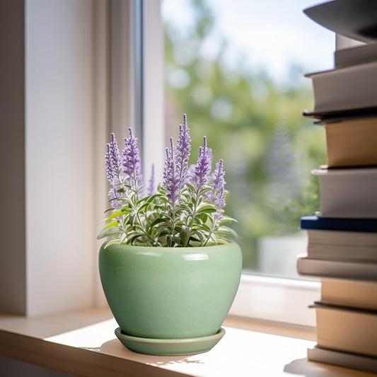 Ceramicfor 6 Inch Plant Pot - Ceramic Planter for Indoor Plants Round Planter Outdoor Plant Pot with Drainage Hole and Saucer Modern Flower Pot for Succulent Garden Green