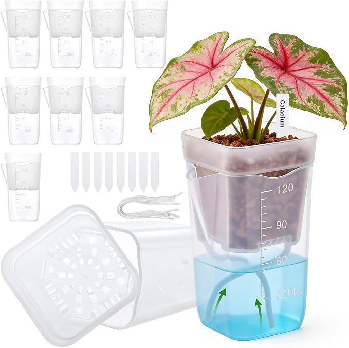 2” Clear Self Watering Pots for Indoor Plants, 8PCS Mini Plastic Nursery Planters with Water Level Indicator & Drainage Holes for Propagation,Succulents,Seedling,African Violet,Plant Labels