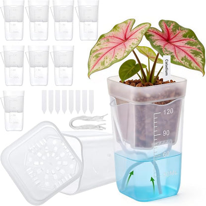 2” Clear Self Watering Pots for Indoor Plants, 8PCS Mini Plastic Nursery Planters with Water Level Indicator & Drainage Holes for Propagation,Succulents,Seedling,African Violet,Plant Labels