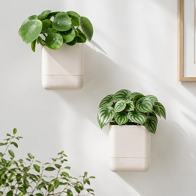 Phoenix Vine 4.5 Inch Wall Mounted Self-Watering Planter Pot for Indoor Houseplants and Herbs | Hanging Planter for Window Sills, Bathroom Walls, Home & Office Décor, Oatmeal, Set of 4, 01-B-G-4