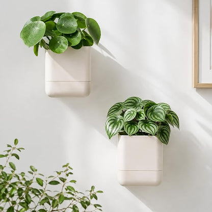 Phoenix Vine 4.5 Inch Wall Mounted Self-Watering Planter Pot for Indoor Houseplants and Herbs | Hanging Planter for Window Sills, Bathroom Walls, Home & Office Décor, Oatmeal, Set of 4, 01-B-G-4