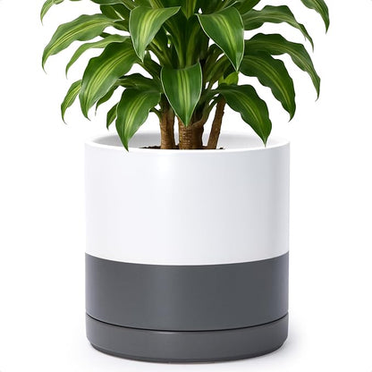 D'vine Dev 10 Inch Ceramic Planter Pot with Drainage Hole and Saucer, Indoor Cylinder Round Planter Pot, White/Speckled Grey, 94-O-E-6