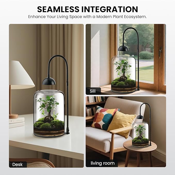 Glass Plant Terrarium with LED Grow Light, Adjustable Ventilation Desktop Indoor Planter for Venus Fly Trap, Moss & Succulents, 8.2" Borosilicate Mini Greenhouse for Home Office Decor