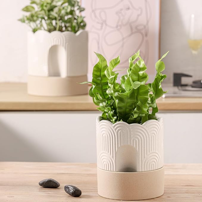 Nihow Ceramic Self Watering Pots for Indoor Plants, 6+8 Inch,Beige Set 2 | Visible Water Level Fill Port,Planter with Cotton Wick,Water Storage Plus, Cylinder Round Flower Pot, Succulent/Herbs/Violets