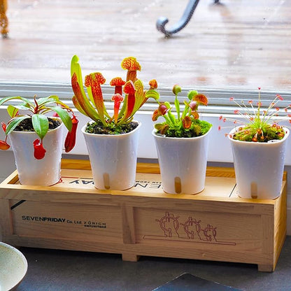3" Self Watering Pots,20 Sets Self Watering Planter Pots for Indoor Plants with Water Level Indicator and Multiple Vents,Self Watering Planters,Self Watering Plant Pot for House Plants,Flowers,Herbs
