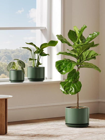 LE TAUCI Ceramic Plant Pots, Set of 2, 8+10 Inch Plant Pots Indoor with Drainage Hole & Saucer, Sturdy Planters for Indoor Plants, Modern Minimalist Decor for Snake Plant, Monstera, Green