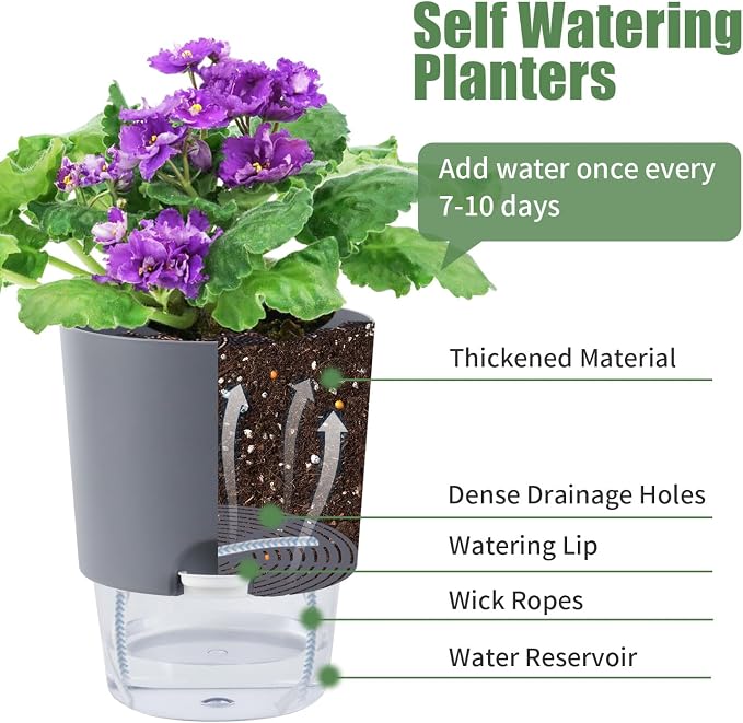 Oliz Self Watering Planters for Indoor Plants : 6 inch 3 Pack White African Violet Self Watering Flower and Herb pots