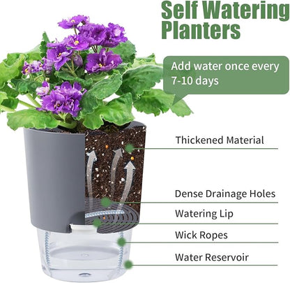 Oliz Self Watering Planters for Indoor Plants : 6 inch 3 Pack White African Violet Self Watering Flower and Herb pots