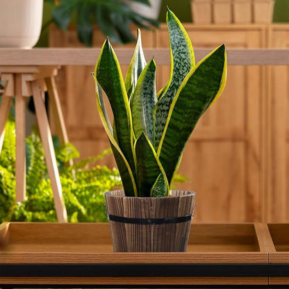 DOITOOL Rustic Wooden Barrel Planter: Wood Whiskey Barrel Bucket Flower Pots Indoor Outdoor Plants Boxes Container for Home Garden Patio Backyard - 7.08 x 5.9 x 5.1 inches (Medium)