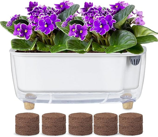 Oliz Self-Watering Planter with Coco Coir, Clear Modern Rectangular Pot | 11.8 * 4.6 inch, Decorative Flower Pot for Indoor Plants, Windowsill Plant Pot with Drainage Holes, African Violets Pots