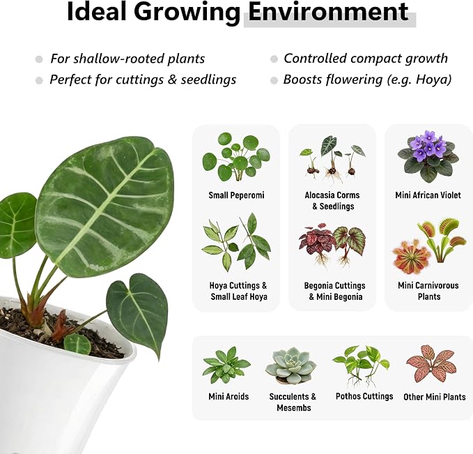 10 Pack 3" Self Watering Small White Plant Pots for Indoor Plants, Clear Inner Cup, Water Level Indicator, Drainage Holes & Wick, for Cuttings, Seedlings, Herb, African Violet