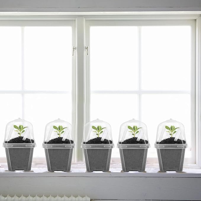 EBaokuup 50 Pcs Clear Plant Nursery Pots with Humidity Dome-3" Reusable Plastic Gardening Pot with Labels-Small Seed Starting Pots for Seedlings,Vegetables,Succulents,Cuttings
