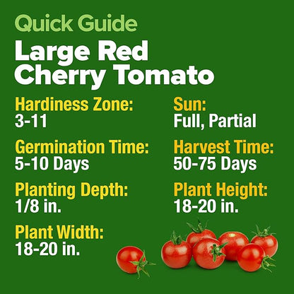HOME GROWN Large Red Cherry Tomato Seeds 500+ Heirloom Non GMO Seeds for Planting, High Germination, Indeterminate, Sweet & Juicy Salad Tomatoes, Prolific Garden Crop, Homestead (Solanum lycopersicum)