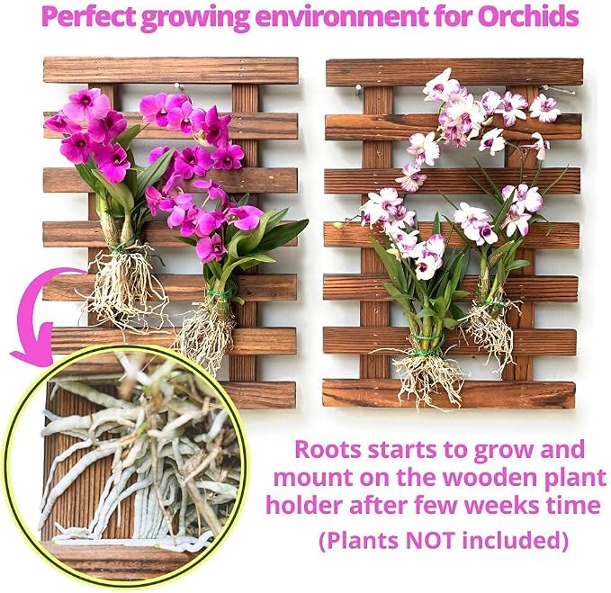 ShopLaLa Wall Planter (40cm, 2 Pack) Wooden Succulent Air Plant Wall Hanger | Orchid Planter Frame Display Outdoor Plants Wall Mount Holder Vertical Garden Plant Wall Decor Macetas para Orquideas