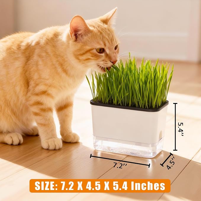 Self-Watering Cat Grass Planter (no Seeds Included) for Indoor Cats | Anti-Digging Design, Built-in Drainage Holes, Suitable for Various Soils, Wheat Grass Growing Pot for Cats Rabbits Pets