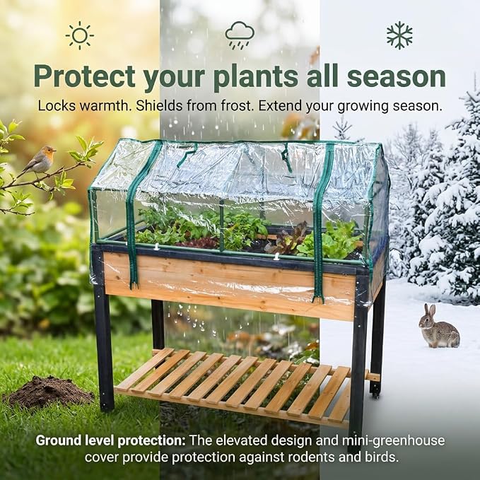 GOJ Raised Garden Bed Wood 48x24x32 inch with Greenhouse & Lockable Wheels - Elevated Wood Planter Box for Outdoors Vegetable Flower Bed Herb Planter - 400 lbs Capacity