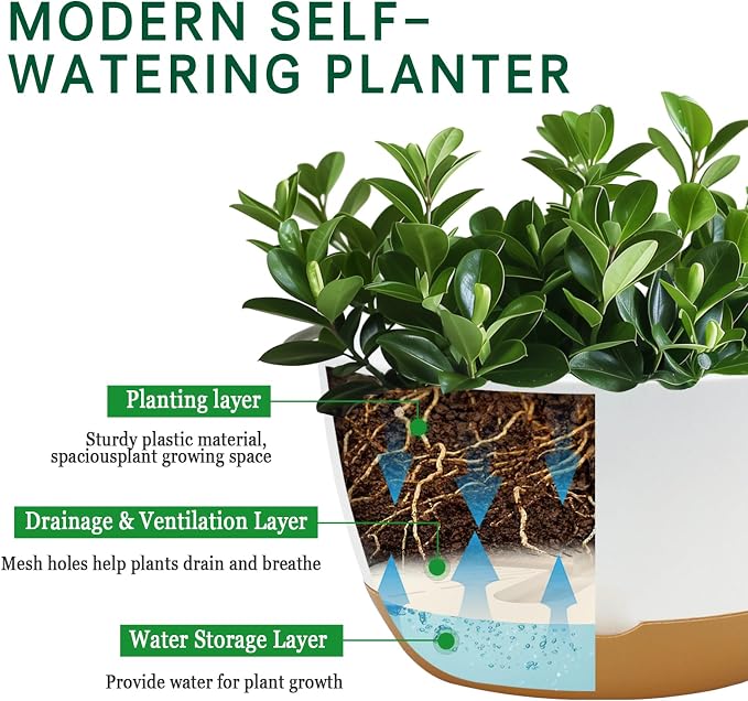 Koalaime 8/10/12 Inch Pots for Indoor Plants, Large Self Watering Planters with Drainage and Saucers, Plastic Outdoor Flower Pot, Set of 3, White