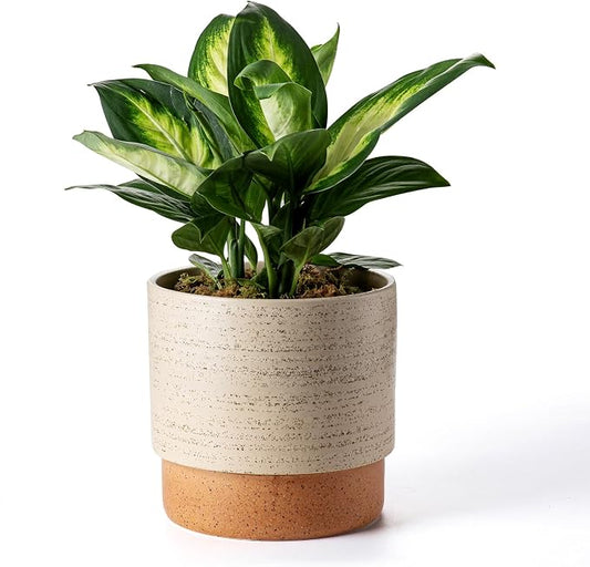 8 Inch Ceramic Self Watering Planter with Drainage Hole, Brush | Indoor Plant Pot with Water Storage Plus - for African Violet, Herbs & Pothos - Home & Office Decor, Cylinder Round