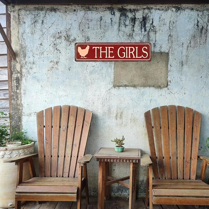 Funny Metal Tin Sign Vintage The Girls Sign For Home, Street, Shop, Garage, Bar, Farm, Garden Wall Decor 16x4 Inches