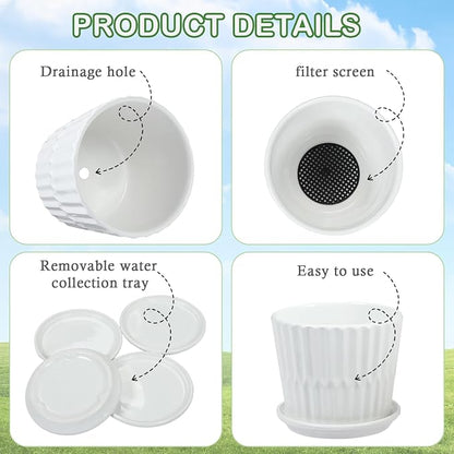 sietpoek Plant Pots - 5.5 Inch Cylinder Ceramic Planters with Connected Saucer, Pots for Succuelnt and Little Snake Plants, Set of 4, White