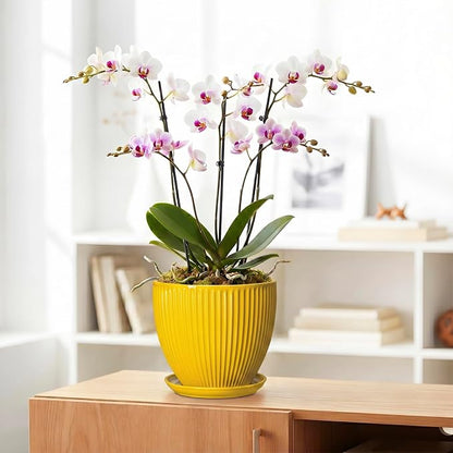 8 Inch Pots for Plants, Ceramic Plant Pots for Indoor Plants, Round Ceramic Planter with Drainage Hole and Saucer, Modern Decorative Plant Pot, Home Kitchen Decor, Women Men Gifts, Yellow