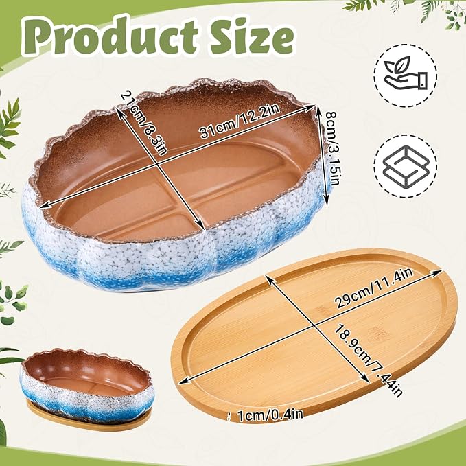 Succulent Pot 12 Inch Large Succulent Planters Ceramic Glazed Bonsai Pot with Bamboo Tray Round Shallow Planter for Indoor Cactus Flower Planter Window Box for Home Garden Decor (Blue and White)
