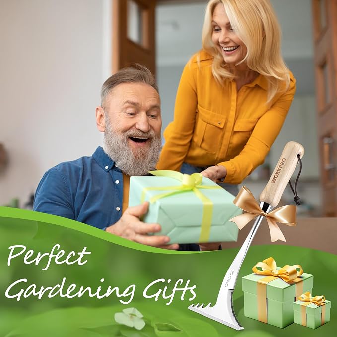 WORKPRO Crack Weeder, 13.5" Stainless Steel Weeding Tool, Wooden Handle | L-Shaped Side-Walk Weed Puller Spatula, for Garden Lawn Yard Patio Terrace Paving Garden Tool