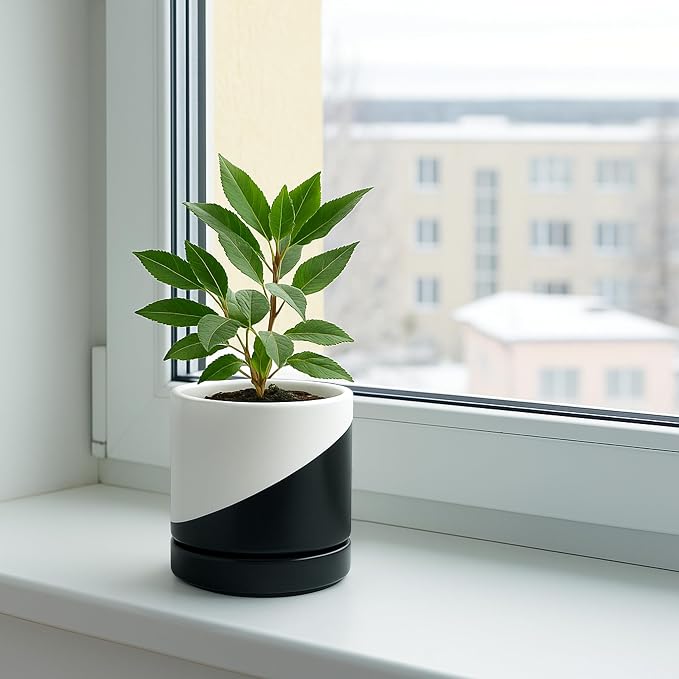 D'vine Dev 4.7 Inch Ceramic Planter Pot with Drainage Hole and Saucer, Indoor Cylinder Round Planter Pot, Oblique Monochrome Black and White, 94-O-B-K