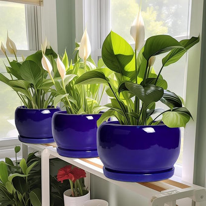 SQOWL Ceramic Planters for Indoor Plants - 6 Inch Plant Pot with Drainage Hole and Saucer, Round Small Planter, Modern Decorative Flower Pot Outdoor, Living Room Decor, Garden Gifts for Women, Blue