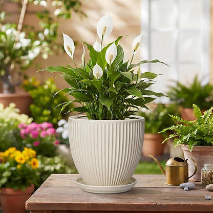 6 Inch Planter, Ceramic Pots for Plants Indoor, Decorative Plant Pots with Drainage Hole and Saucer, Round Flower Pot, Modern Small Planter, Office Decor, Gifts for Plant Lovers, Cream White