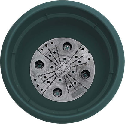 Bloem Ariana 8" Plastic Self-Watering Planter, Charleston Green, 4-Pack | Self-watering disk at the bottom of each pot that acts as a water wick and reservoir for optimal plant health