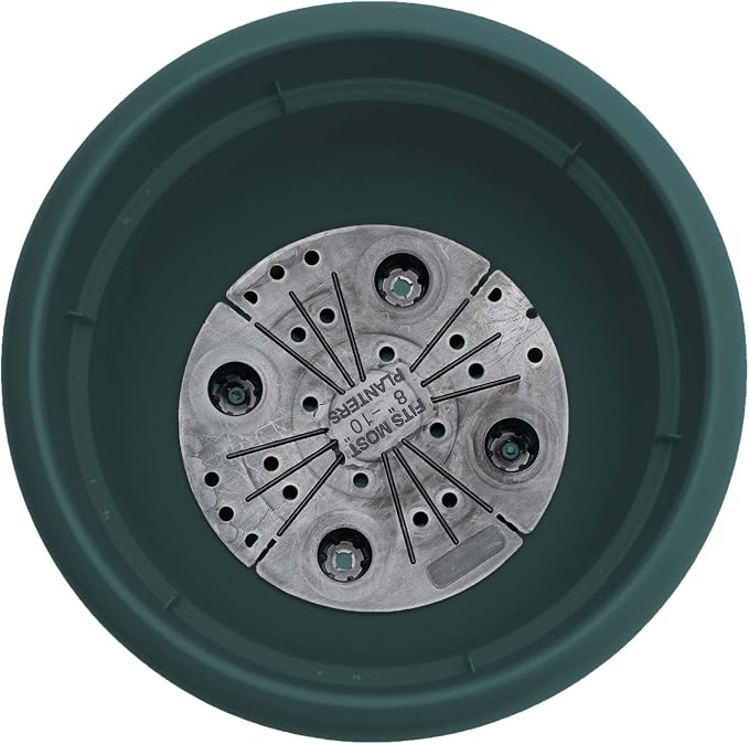 Bloem Ariana 6" Plastic Self-Watering Planter, Charleston Green, 4-Pack | Self-watering disk at the bottom of each pot that acts as a water wick and reservoir for optimal plant health