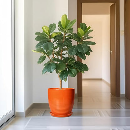 12 Inch Plant Pot, Ceramic Planters for Plants with Drainage and Saucer, Orange