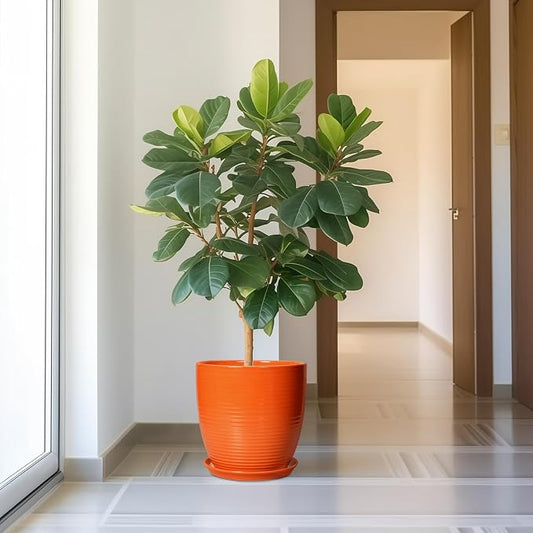 12 Inch Plant Pot, Ceramic Planters for Plants with Drainage and Saucer, Orange