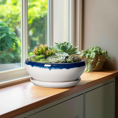 SQOWL Bonsai Pots - 10 Inch Ceramic Pots for Succulents Indoor, Shallow Planter with Drainage Hole and Saucer, Round Succulent Planters Bowl, Kitchen Decor, Housewarming Gifts, Blue Off-White
