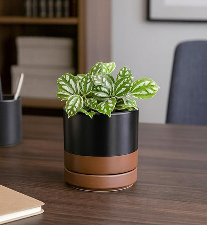 D'vine Dev 4.7 Inch Ceramic Planter Pot, Black/Tan, 94-O-B-7 | Modern Cylinder Design, Drainage Hole & Saucer Included, Stable Structure, Elegant Home Accent