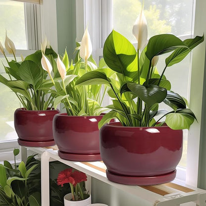SQOWL Ceramic Planter - 8 Inch Plant Pot with Drainage Hole and Saucer, Round Planter for Indoor Outdoor Plants, Modern Decorative Flower Pots, Home Decor, Plant Lover Gifts, Red