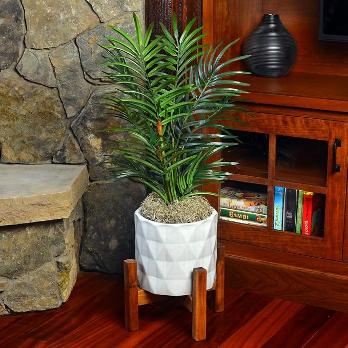 Mosser Lee ML0560 Spanish Moss, 250 Cubic Inches (Pack of 8)
