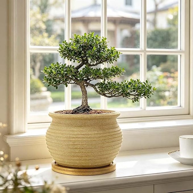 MUZHI Rustic 4 inch Bonsai Plant Pot with Bamboo Tray Set of 4, Unglazed Ceramic Succulent Cactus Pot Indoor Outerdoor with Drainage Hole