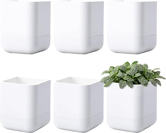 Phoenix Vine 3.5 Inch Wall Mounted Self-Watering Planter Pot for Indoor Houseplants and Herbs | Hanging Planter for Window Sills, Bathroom Walls, Home & Office Décor, White, Set of 6, 01-A-D-6
