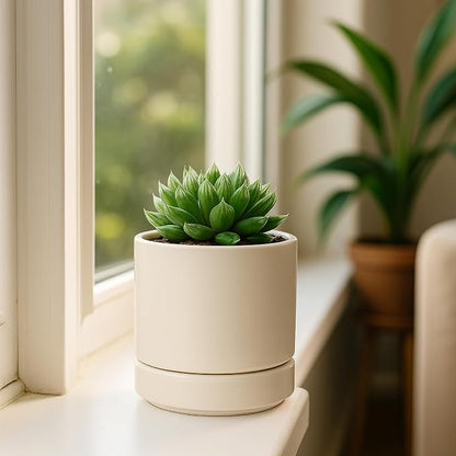 D'vine Dev Set of 4 Small Ceramic Plant Pots, 4.7 Inch Succulent Planter Pot for Plants with Drainage Hole and Saucer, Oatmeal, 94-X-B-8