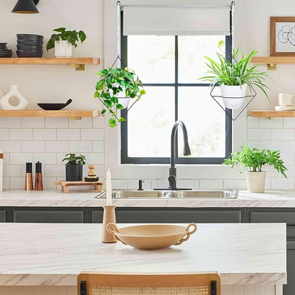 Koalaime Hanging Planters for Indoor Plants, 2 Set Self Watering Hanging Flower Pots, Modern Hanging Plant Baskets with Metal Plant Holder & 6.5 Inch Plastic Pots for Garden Home Decor (White)
