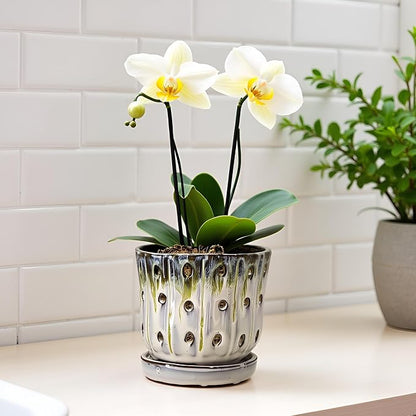 Orchid Pots 4.9 inch Round Ceramic Orchid Pots with Holes Set of 2 (SkyBlue+White with Lemon Green)