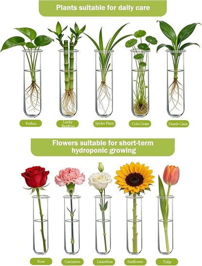 XXXFLOWER Wall Hanging Propagation Station with Wooden Stand 21 Glass Test Tubes 3 Tiers Planters Wall Terrarium for Home Office Plant Hanger Flower Vases Wall Decor Hydroponic Cuttings