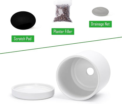 D'vine Dev 3.5 Inch Ceramic Planter Pot with Drainage Hole and Saucer, Indoor Cylinder Round Planter Pot, White, 94-O-A-1