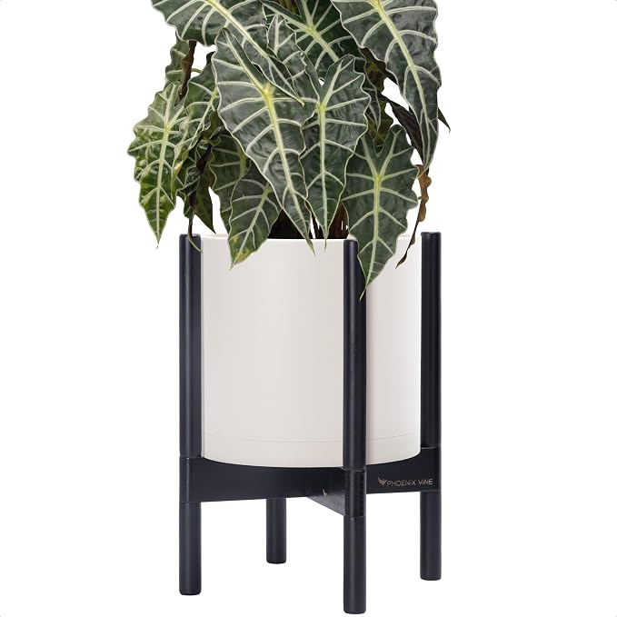 D'vine Dev Plastic Pot with Ebony Wood Stand, Oatmeal, 10 in, 55-C-N-4 | Mid-Century Inspired Design, Elevated Plant Display, Clean Lines, Sturdy Support, Modern Space-Saving Style