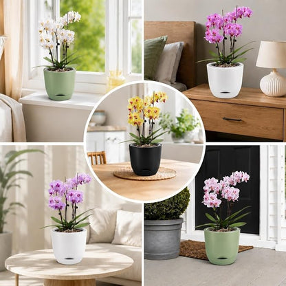 QCQHDU 7.2Inch Orchid Pots with Holes for Repotting, Double-Layer Plastic Self Watering Flower Pots for Indoor Plants with Drainage Holes, Clear Orchid Pot Match Decorative Orchid Container, 1Pack