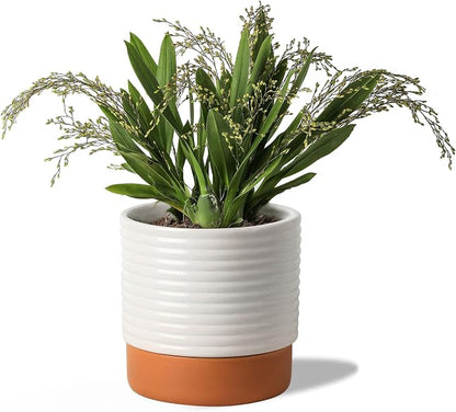Self Watering Plant Pot : 8 Inch Ceramic Planter with Drainage Hole & Water Storage Plus - Flowerpot for Indoor & Outdoor Plants (Cream White & Red-Brown)