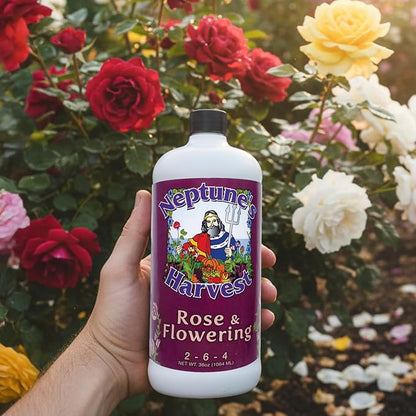 Neptune's Harvest Rose & Flowering Fertilizer (2-6-4) - 36oz Bottle - Organic Liquid Food for Vibrant Blooms & Growth - Promotes Healthy Foliage - Ideal Fertilizer for Indoor & Outdoor Use