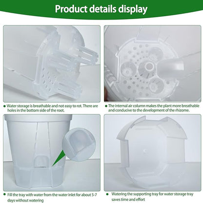 Cdd's Path 5-Pack 6 Inch Self Watering Naked Root Planter Pots with Drainage Holes & Reservoir, Plastic Planters with Air Pipes for Indoor Outdoor Plants，Clear